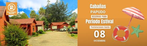 Postulaciones Papudo Período Estival